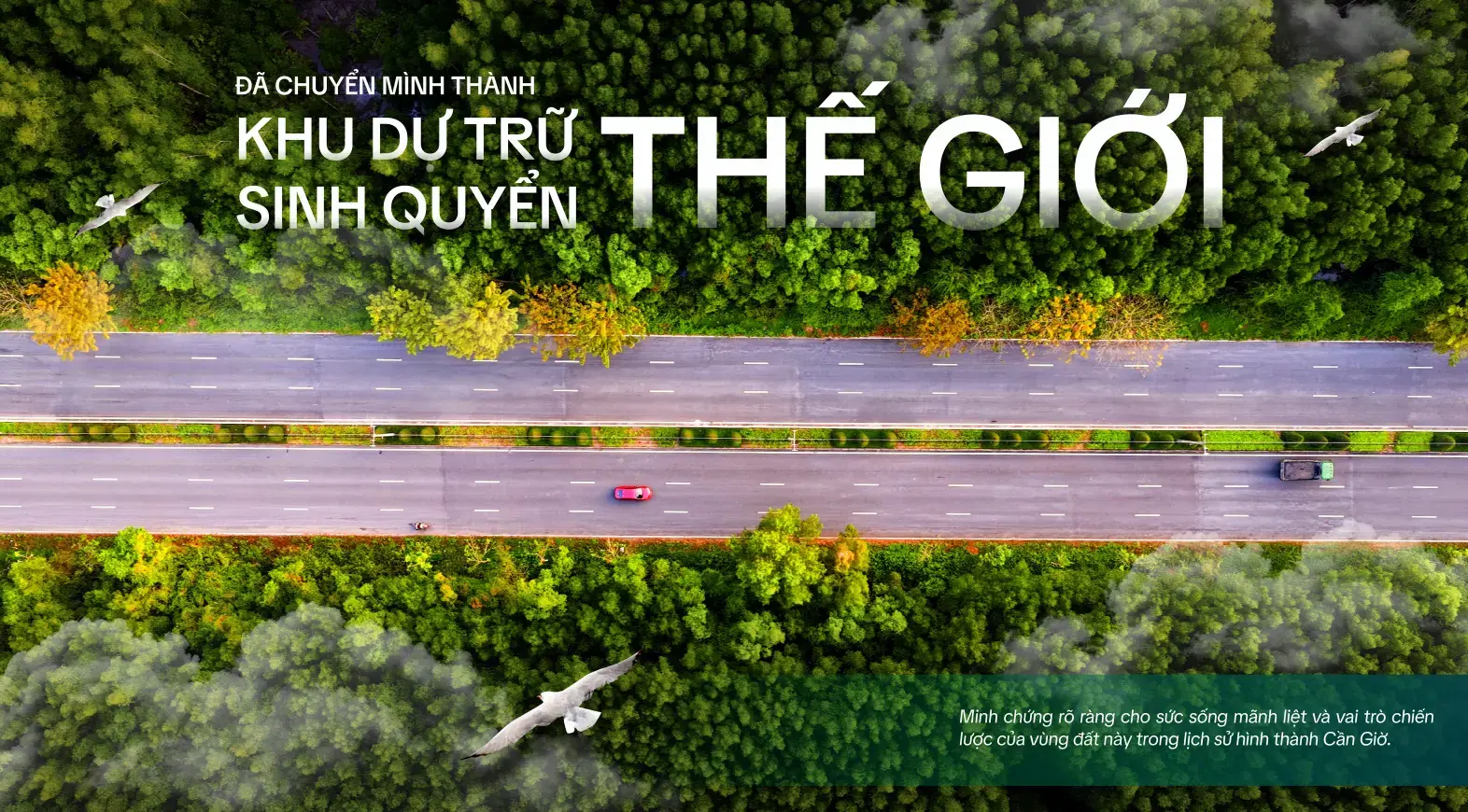 rung sac can gio da chuyen minh thanh khu du tru sinh quyen the gioi