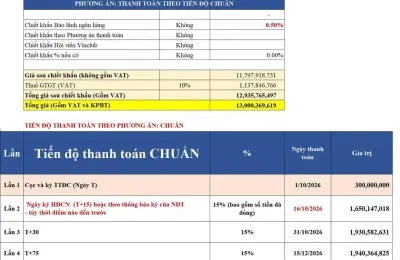 Nhà liền kề SX2-15 Vịnh Tiên Vinhomes Green Paradise, liền kề bãi tắm và công viên
